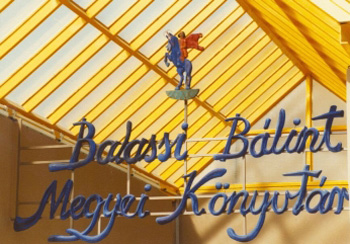 A Balassi Bálint Megyei Könyvtár nehéz helyzetben