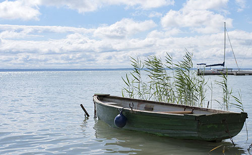 Salgótarjánból a Balatonig viszik az utasokat